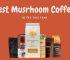 Best Mushroom Coffee for Weight Loss