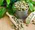 The Health Benefits of Green Coffee Bean Extract